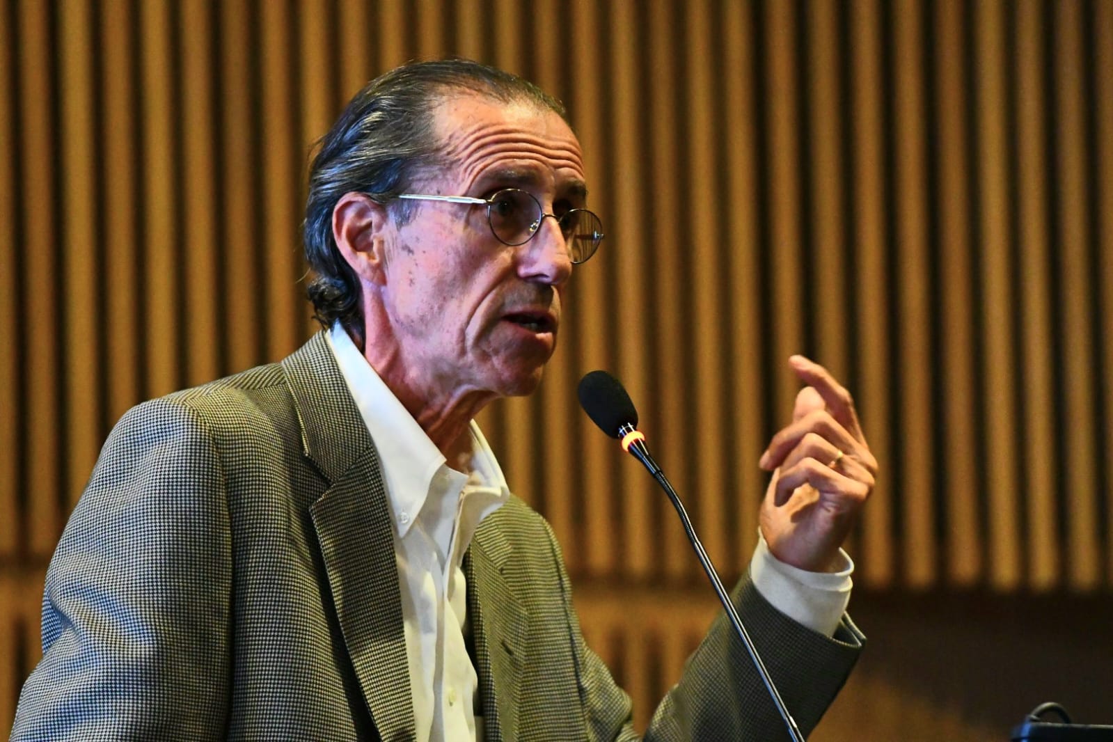 Carlos Williamson, Investigador CLAPES